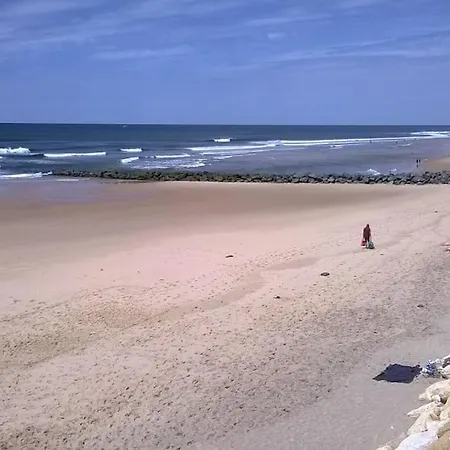 Lejlighed Appart' Dans Les Pins Avec Piscine Chauffee Lacanau
