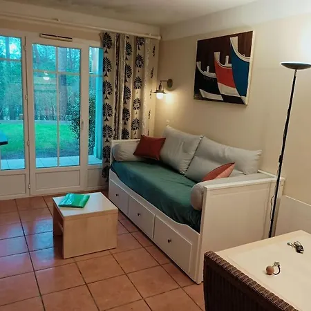 Appart' Dans Les Pins Avec Piscine Chauffee Lacanau