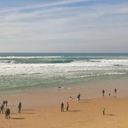 Appart' Dans Les Pins, Océan, Lac, Piscine