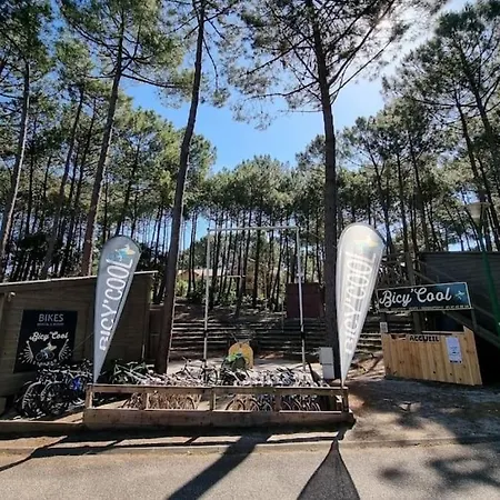 Lejlighed Appart' Dans Les Pins Avec Piscine Chauffee Lacanau