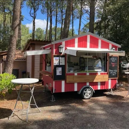 Appart' Dans Les Pins Avec Piscine Chauffee Lacanau