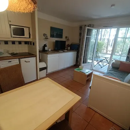 Appartement Appart' Dans Les Pins, Océan, Lac, Piscine