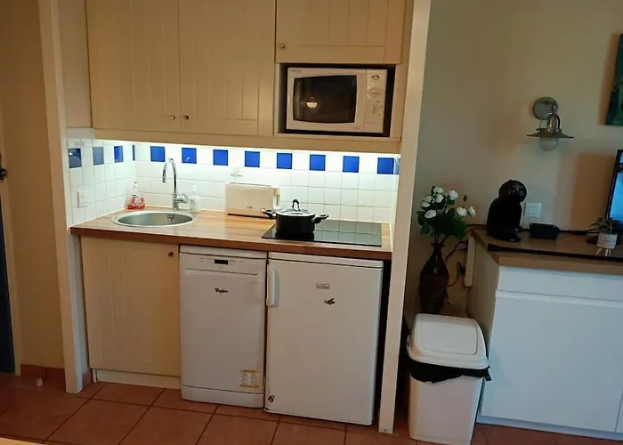 Appartement Appart' Dans Les Pins, Océan, Lac, Piscine