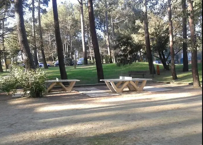 Appartement Appart' Dans Les Pins, Océan, Lac, Piscine *