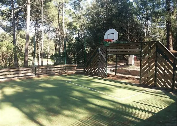 Appartement Appart' Dans Les Pins, Océan, Lac, Piscine