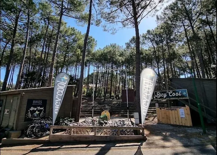 Appartement Appart' Dans Les Pins, Océan, Lac, Piscine Lacanau