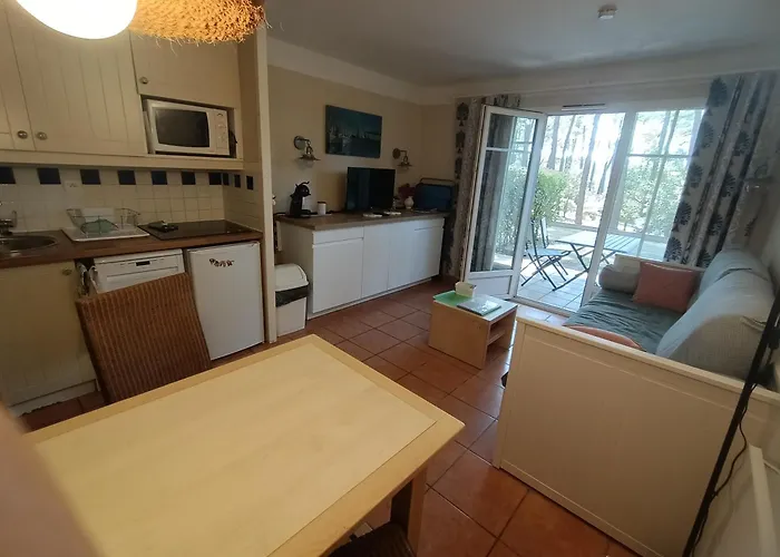 Appartement Appart' Dans Les Pins, Océan, Lac, Piscine